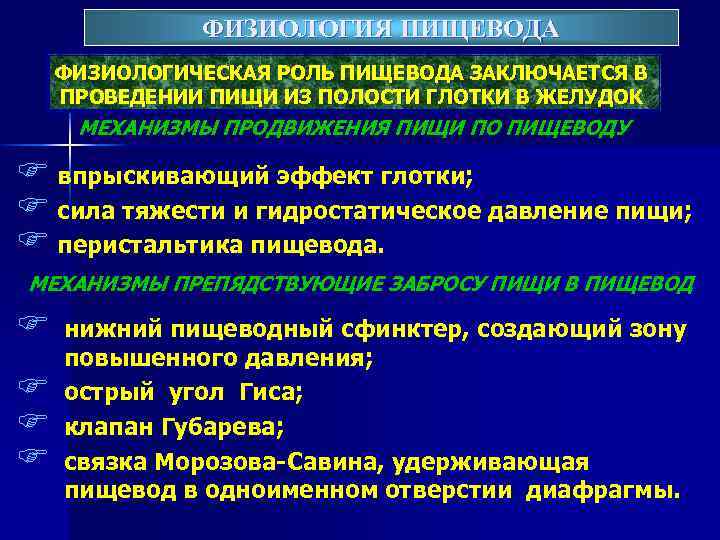 ФИЗИОЛОГИЯ ПИЩЕВОДА ФИЗИОЛОГИЧЕСКАЯ РОЛЬ ПИЩЕВОДА ЗАКЛЮЧАЕТСЯ В ПРОВЕДЕНИИ ПИЩИ ИЗ ПОЛОСТИ ГЛОТКИ В ЖЕЛУДОК