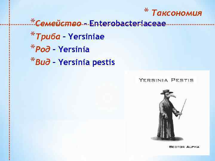 * Таксономия *Семейство – Enterobacteriaceae *Триба – Yersiniae *Род – Yersinia *Вид – Yersinia