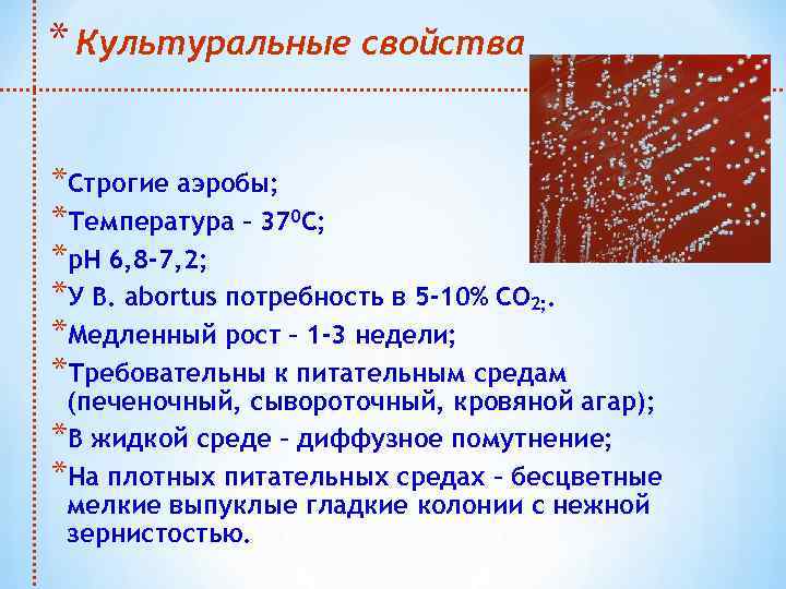 * Культуральные свойства *Строгие аэробы; *Температура – 370 С; *р. Н 6, 8 -7,