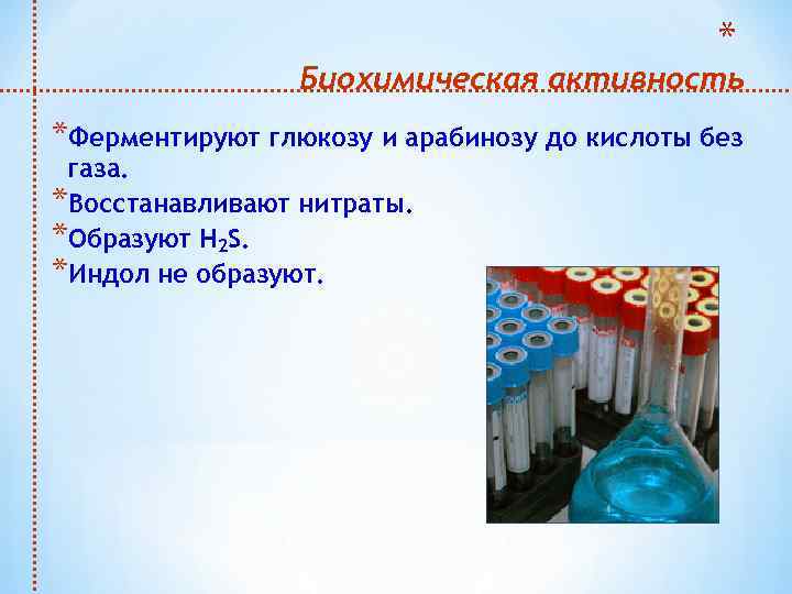 * Биохимическая активность *Ферментируют глюкозу и арабинозу до кислоты без газа. *Восстанавливают нитраты. *Образуют