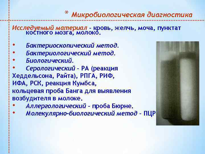 * Микробиологическая диагностика Исследуемый материал – кровь, желчь, моча, пунктат костного мозга, молоко. •