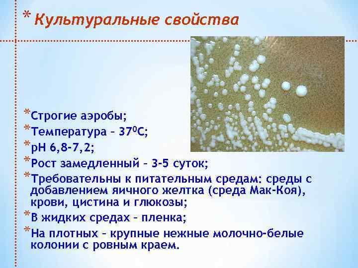 * Культуральные свойства *Строгие аэробы; *Температура – 370 С; *р. Н 6, 8 -7,