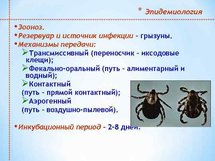 * Эпидемиология • Зооноз. • Резервуар и источник инфекции – грызуны. • Механизмы передачи: