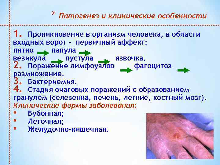 * 1. Патогенез и клинические особенности Проникновение в организм человека, в области входных ворот