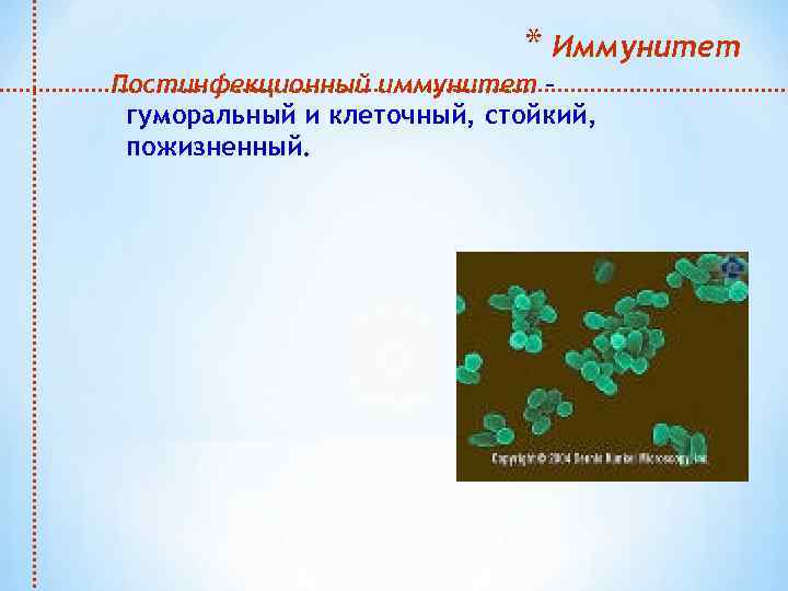 * Иммунитет Постинфекционный иммунитет – гуморальный и клеточный, стойкий, пожизненный. 