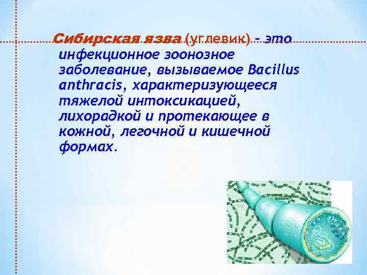 Сибирская язва (углевик) – это инфекционное зоонозное заболевание, вызываемое Bacillus anthracis, характеризующееся тяжелой интоксикацией,