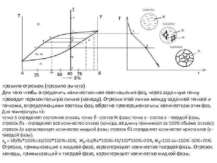Процессы с твердой фазой. Правило рычага для фазовых диаграмм. Правило отрезков или правило рычага. Правило рычага для трехкомпонентных систем. Правило фаз и правило отрезков.
