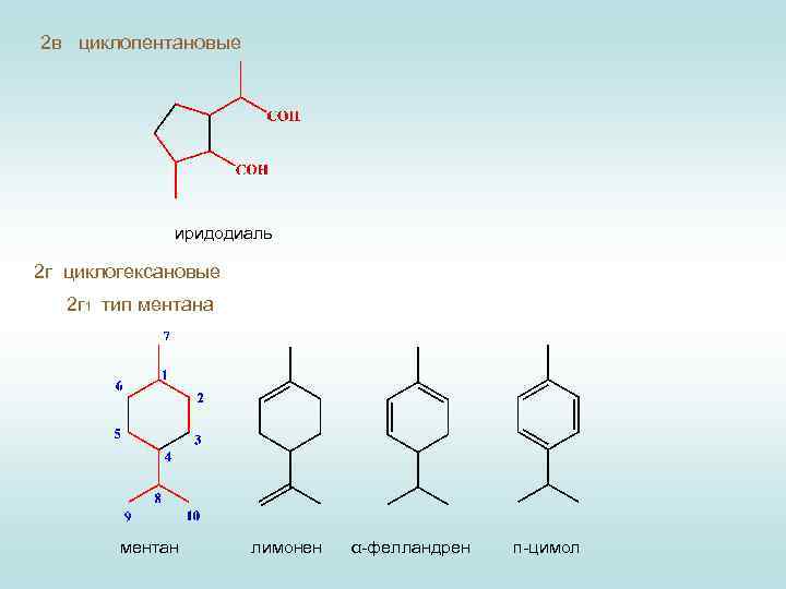 2 в циклопентановые иридодиаль 2 г циклогексановые 2 г 1 тип ментана ментан лимонен