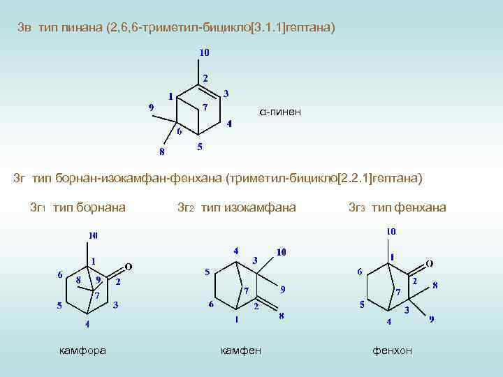 3 в тип пинана (2, 6, 6 -триметил-бицикло[3. 1. 1]гептана) α-пинен 3 г тип