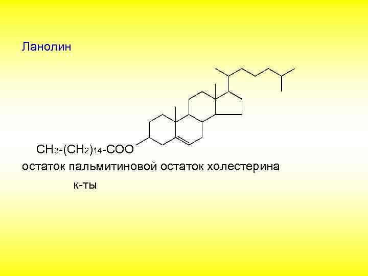 Ланолин СН 3 -(СН 2)14 -COO остаток пальмитиновой остаток холестерина к-ты 