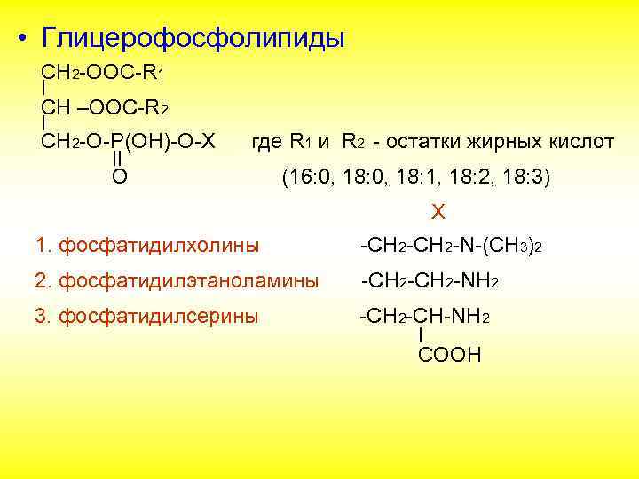  • Глицерофосфолипиды СН 2 -ООС-R 1 I CH –OOC-R 2 I CH 2
