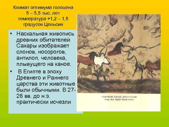 Климат оптимума голоцена 5 – 5, 5 тыс. лет температура +1, 2 – 1,