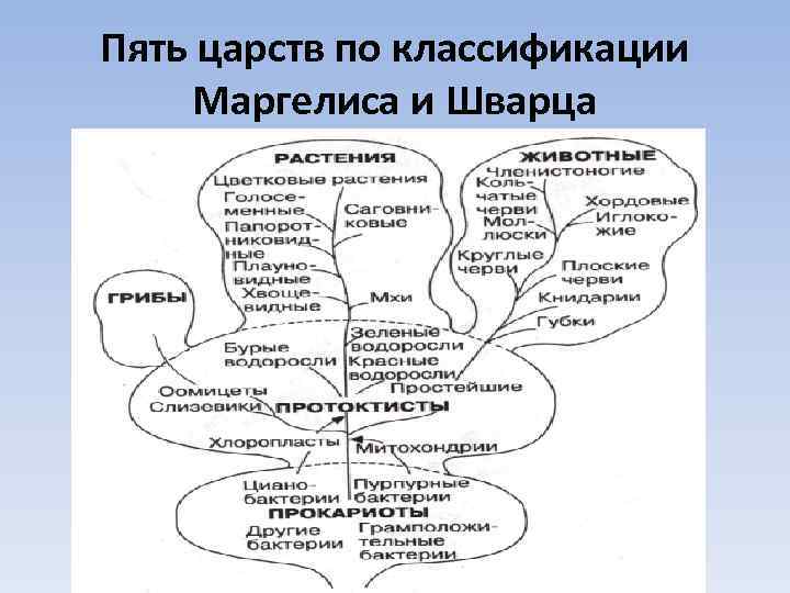 Пять царств по классификации Маргелиса и Шварца 