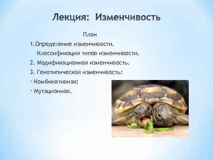 План 1. Определение изменчивости. Классификация типов изменчивости. 2. Модификационная изменчивость. 3. Генотипическая изменчивость: -