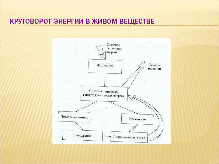 Схема круговорота натрия