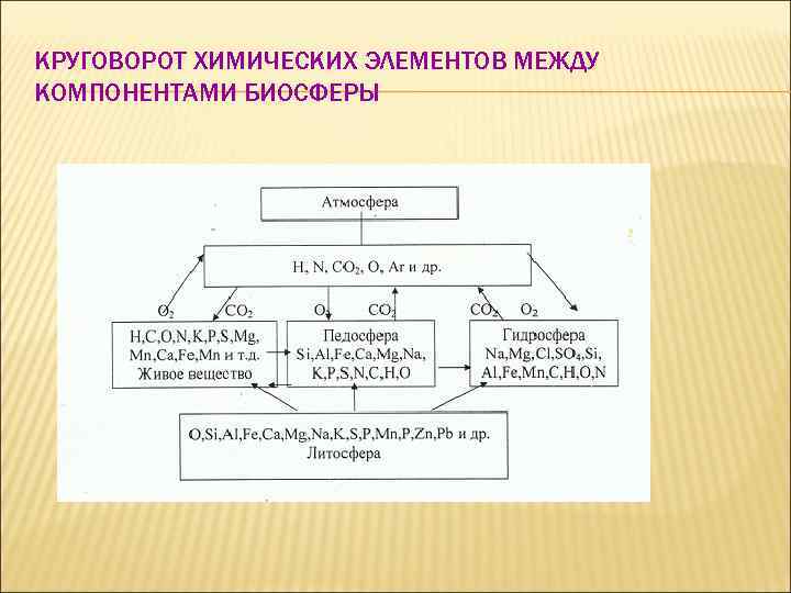 Схемы круговоротов химических элементов