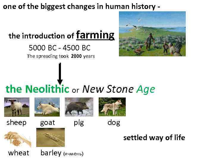one of the biggest changes in human history - the introduction of farming 5000