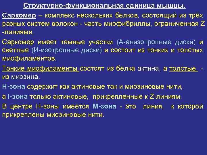   Структурно-функциональная единица мышцы. Саркомер – комплекс нескольких белков, состоящий из трёх разных