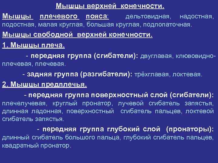 Мышцы верхней конечности 