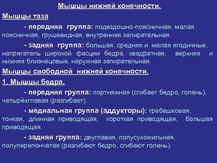 Мышцы нижней конечности: таза и бедра 