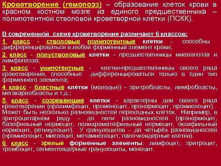 Кроветворение (гемопоэз) – образование клеток крови в красном костном мозге из единого предшественника –