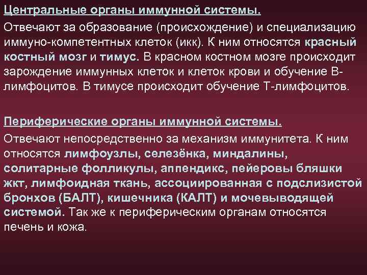 Центральные органы иммунной системы. Отвечают за образование (происхождение) и специализацию иммуно-компетентных клеток (икк). К