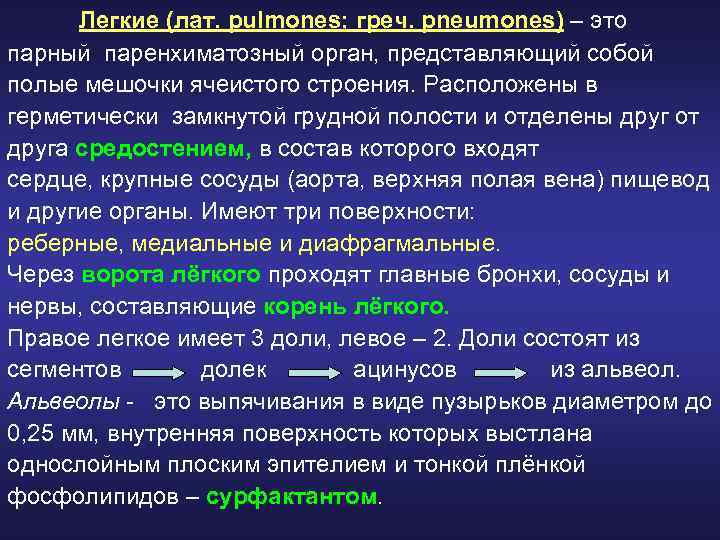 Легкие (лат. pulmones; греч. pneumones) – это парный паренхиматозный орган, представляющий собой полые мешочки