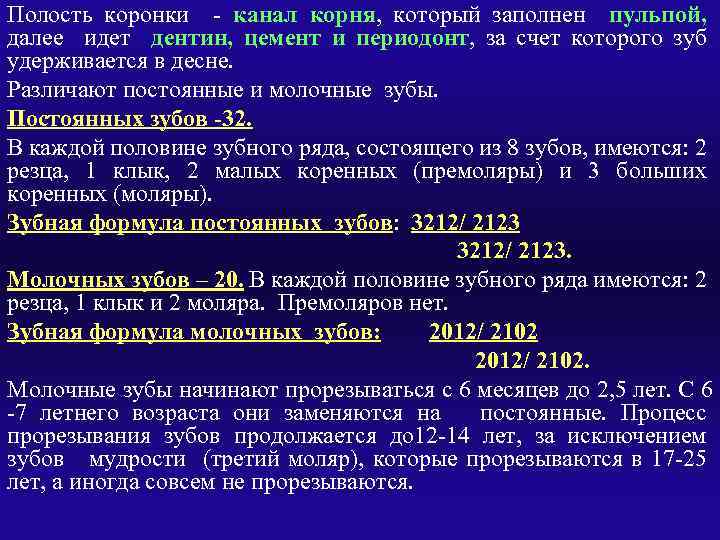 Полость коронки - канал корня, который заполнен пульпой, далее идет дентин, цемент и периодонт,