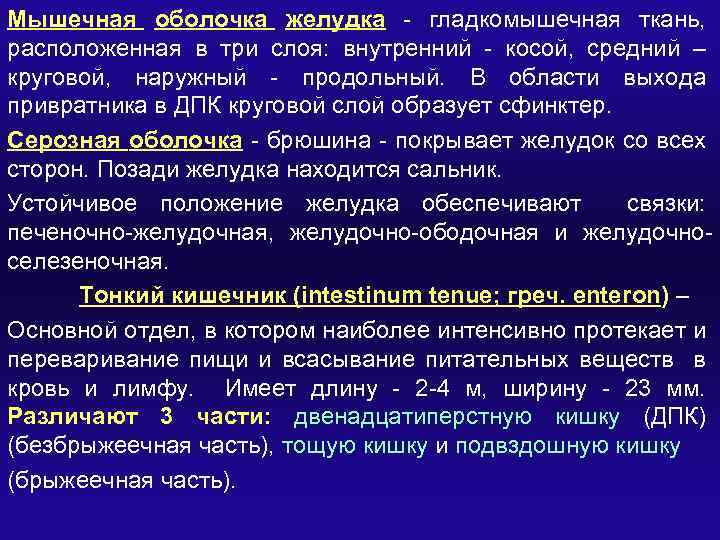 Мышечная оболочка желудка - гладкомышечная ткань, расположенная в три слоя: внутренний - косой, средний