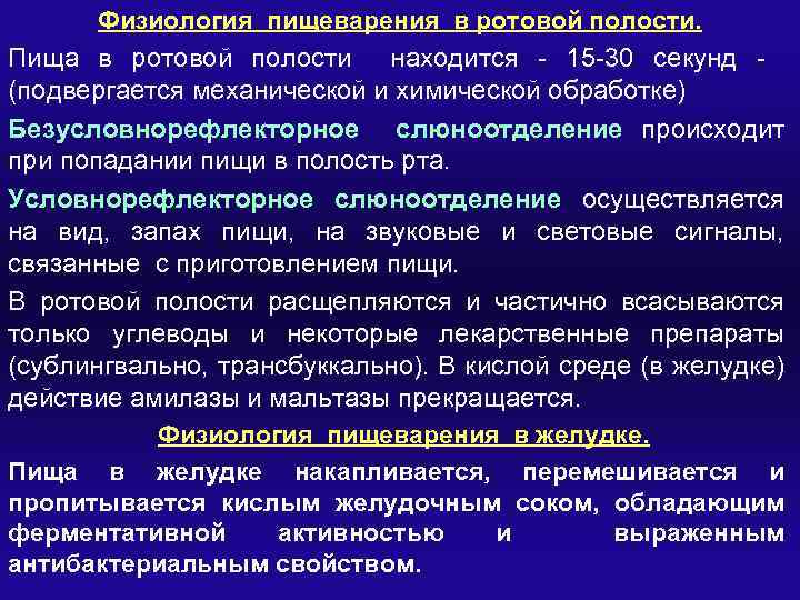 Физиология пищеварения в ротовой полости. Пища в ротовой полости находится - 15 -30 секунд