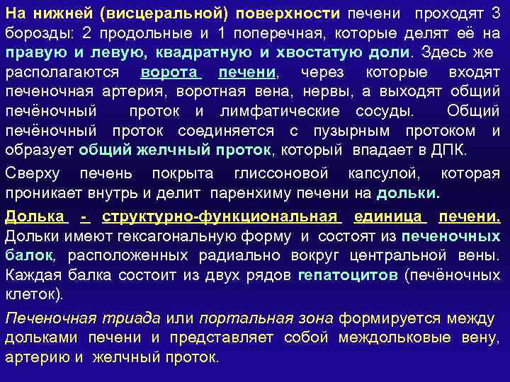 На нижней (висцеральной) поверхности печени проходят 3 борозды: 2 продольные и 1 поперечная, которые
