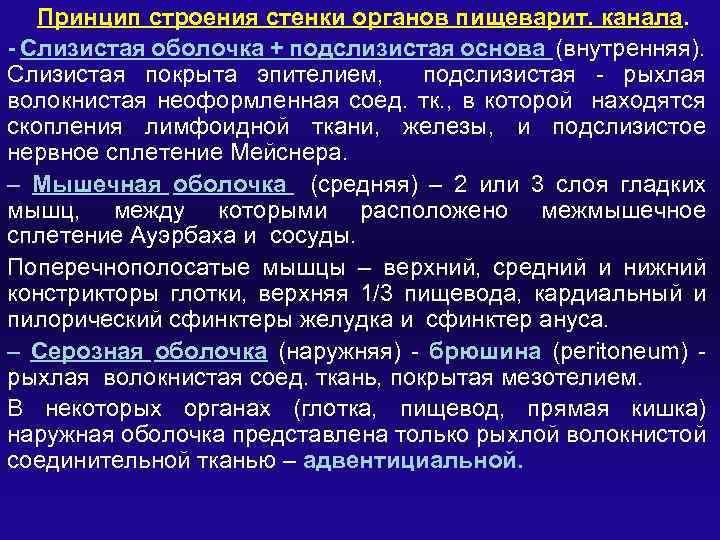 Принцип строения стенки органов пищеварит. канала. - Слизистая оболочка + подслизистая основа (внутренняя). Слизистая