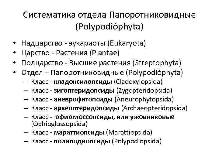 Систематический отдел. Систематика папоротниковидных. Отдел Папоротниковидные классификация.