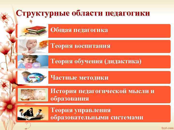 Структурные области педагогики Общая педагогика Теория воспитания Теория обучения (дидактика) Частные методики История педагогической