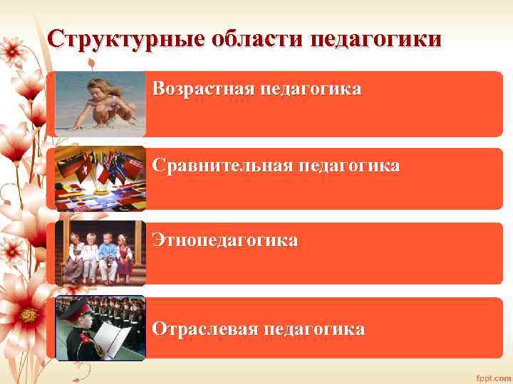 Структурные области педагогики Возрастная педагогика Сравнительная педагогика Этнопедагогика Отраслевая педагогика 