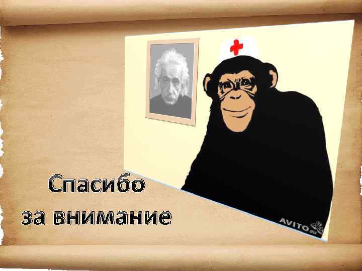  • Спасибо за внимание 