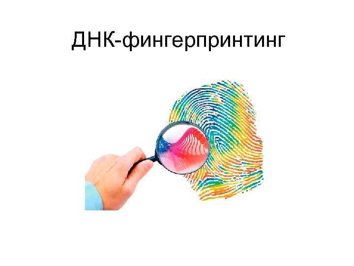 ДНК-фингерпринтинг 