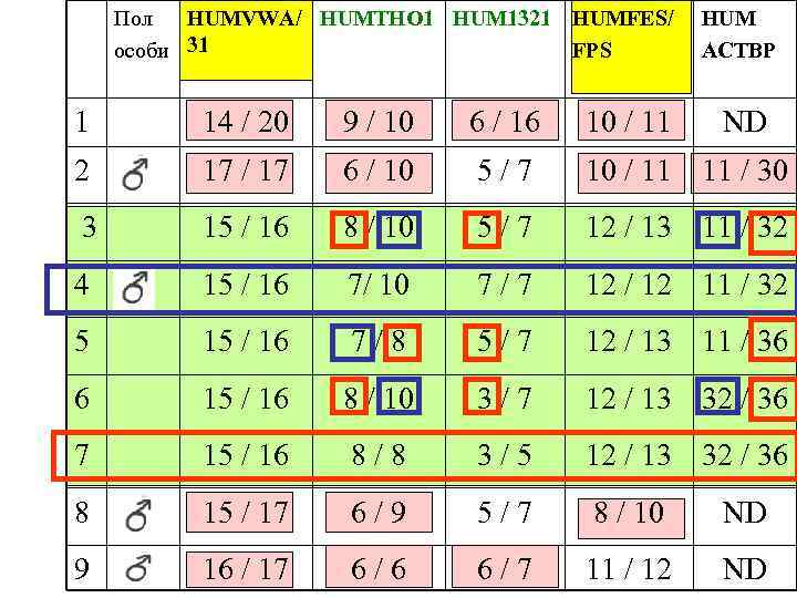 Пол HUMVWA/ HUMTHO 1 HUM 1321 HUMFES/ особи 31 FPS HUM ACTBP 1 14