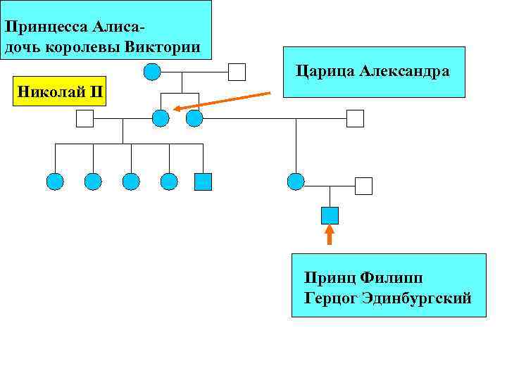 Принцесса Алисадочь королевы Виктории Царица Александра Николай II Принц Филипп Герцог Эдинбургский 