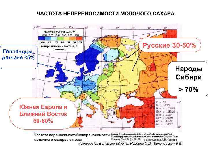 ЧАСТОТА НЕПЕРЕНОСИМОСТИ МОЛОЧОГО САХАРА Голландцы, датчане <5% Русские 30 -50% Народы Сибири > 70%