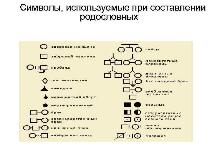 Cимволы, используемые при составлении родословных 