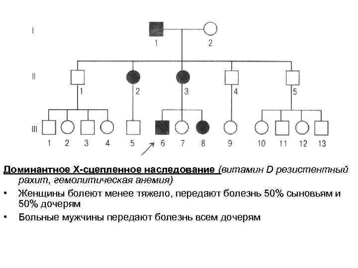 Доминантное X-сцепленное наследование (витамин D резистентный рахит, гемолитическая анемия) • Женщины болеют менее тяжело,