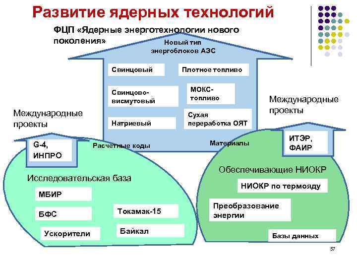 Развитие ядерных технологий ФЦП «Ядерные энерготехнологии нового поколения» Новый тип энергоблоков АЭС Свинцовый Свинцововисмутовый