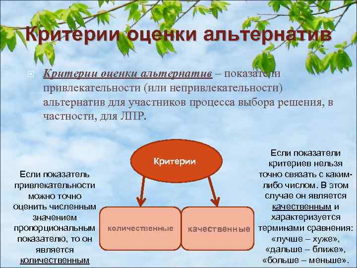 Критерии оценки альтернатив – показатели привлекательности (или непривлекательности) альтернатив для участников процесса выбора решения,