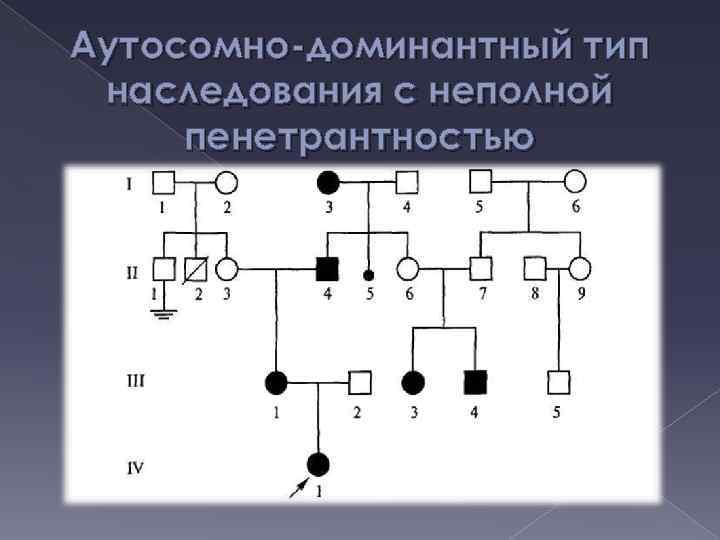 Аутосомно-доминантный тип наследования с неполной пенетрантностью 