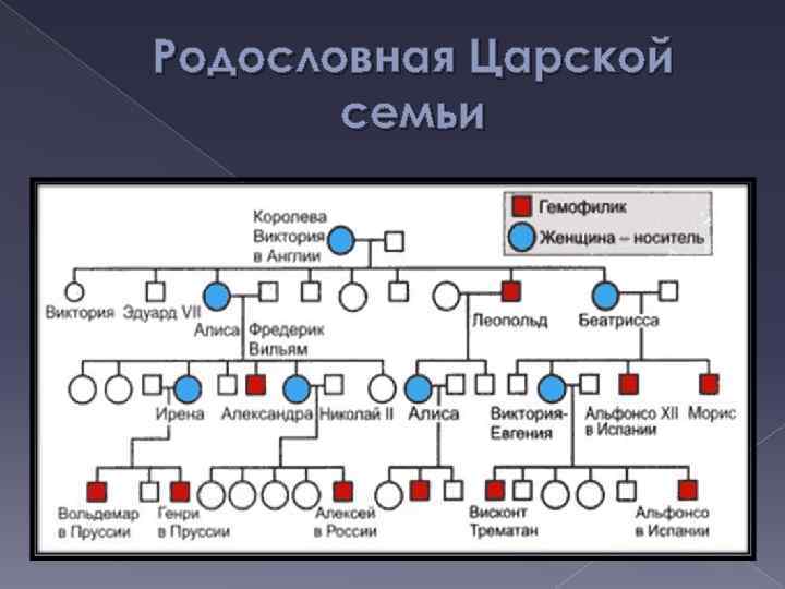 Родословная Царской семьи 