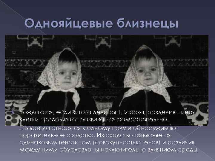 Однояйцевые близнецы Рождаются, если зигота делится 1, 2 раза, разделившиеся клетки продолжают развиваться самостоятельно.