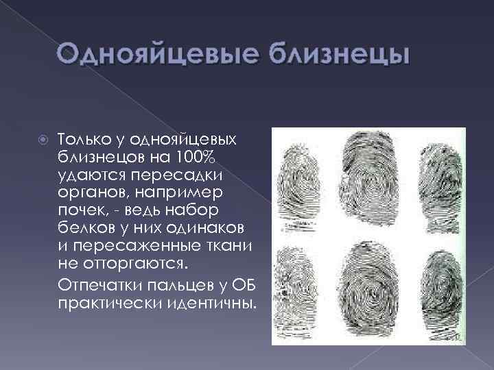 Однояйцевые близнецы Только у однояйцевых близнецов на 100% удаются пересадки органов, например почек, -