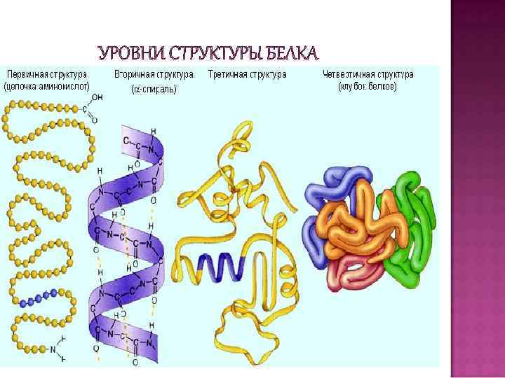 На рисунке отражено заболевание которое называется дистрофия патологический лордоз сколиоз впр