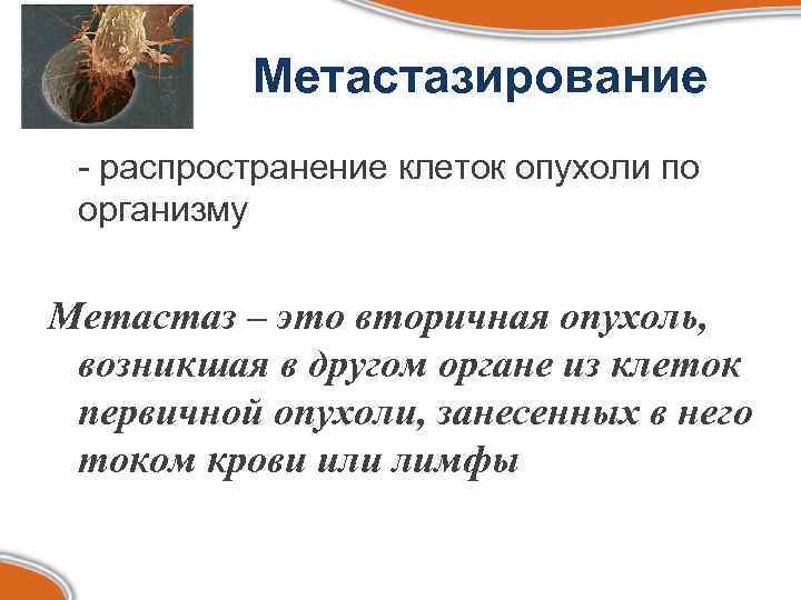 Метастазирование - распространение клеток опухоли по организму Метастаз – это вторичная опухоль, возникшая в